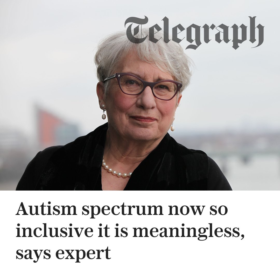 The Telegraph tweet media