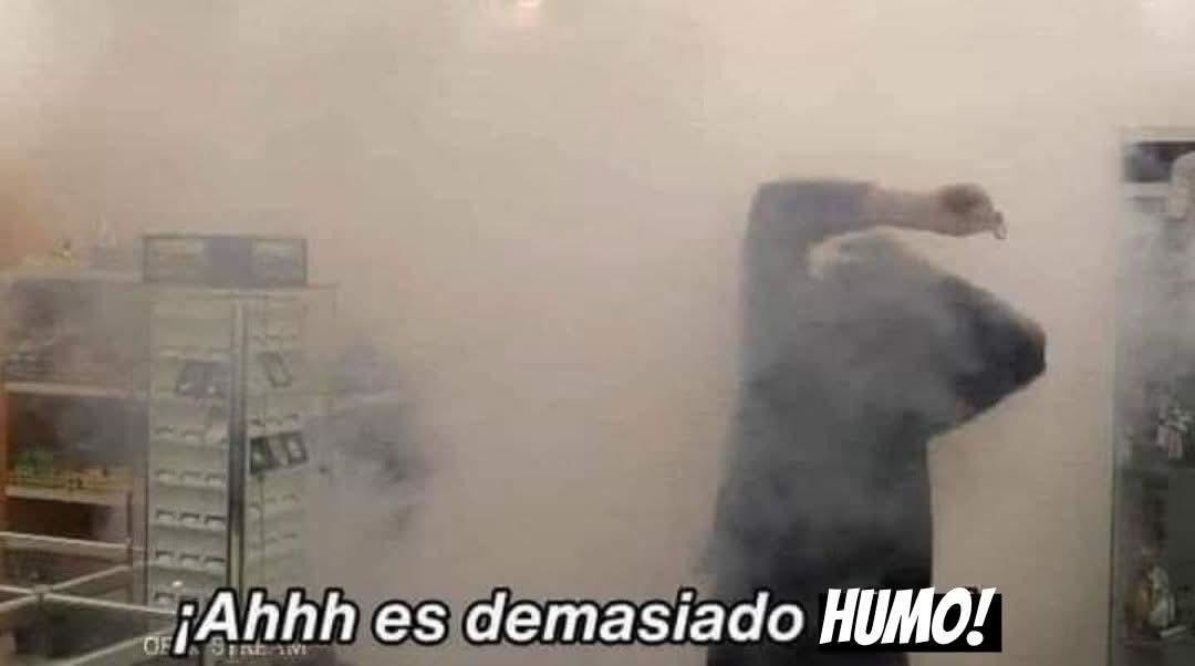 Federico Mohnen tweet media