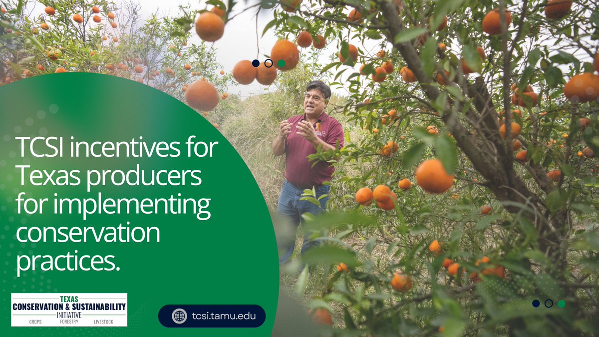 Texas Conservation and Sustainability Initiative tweet media