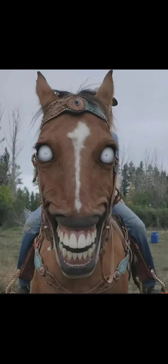 IE Endou FC YUKINO 🐺🐺 tweet media