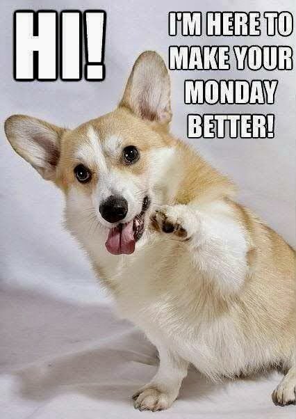 Celtic Life International tweet media