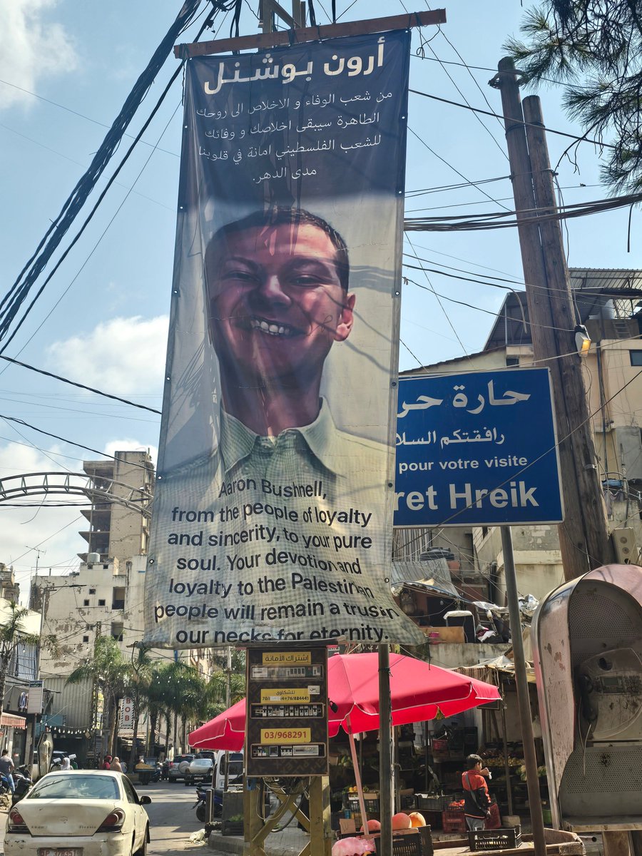 roqayah chamseddine tweet media