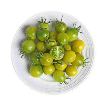 ellen elsner tweet media