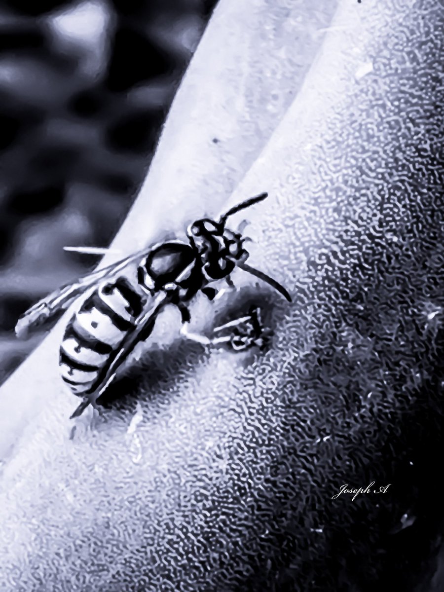 JustJoeM8's tweet image. #MonMon 📷 on my Tuesday