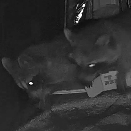 天狼-Tenro-🐺🌟SEVENTH HAVEN 聴いてっ！ tweet media