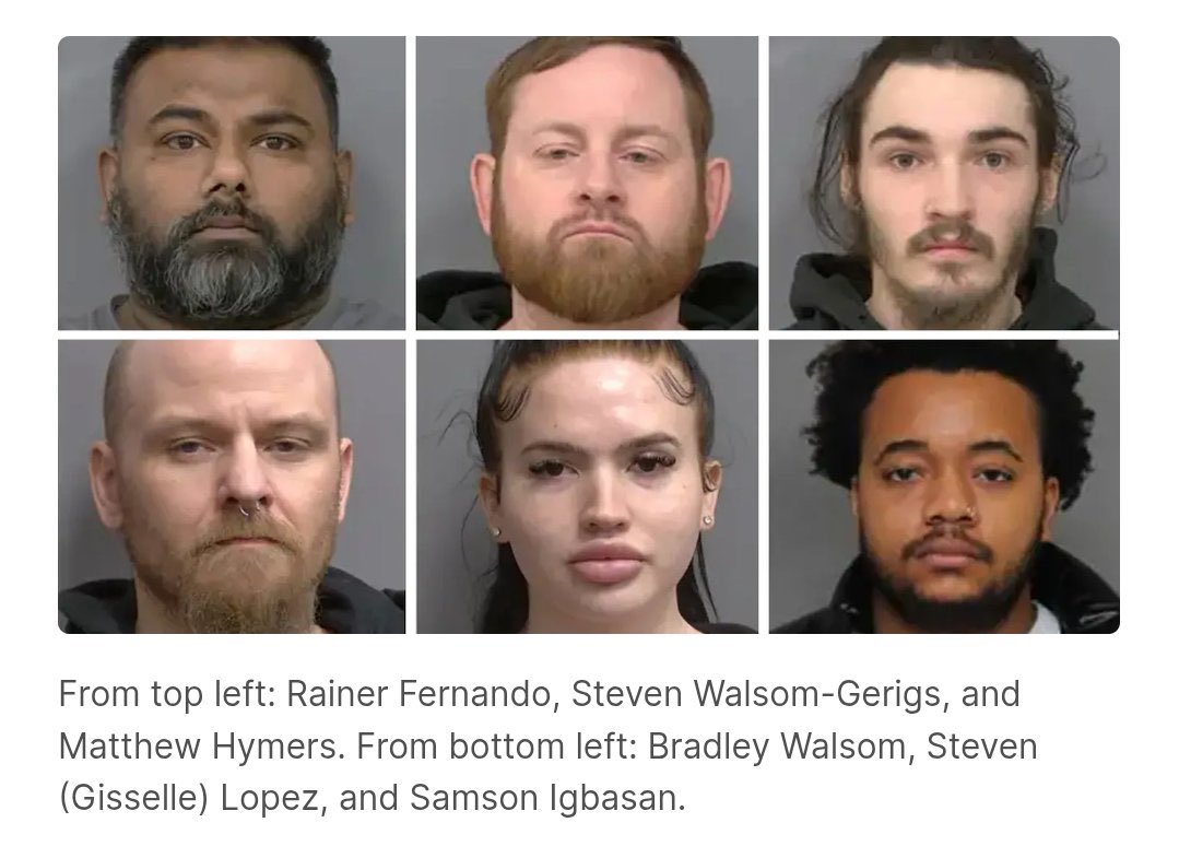 Shergil 𓆉 tweet media