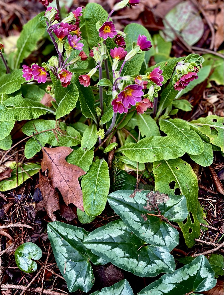 Alee_QuietLens4's tweet image. One pure moment ~