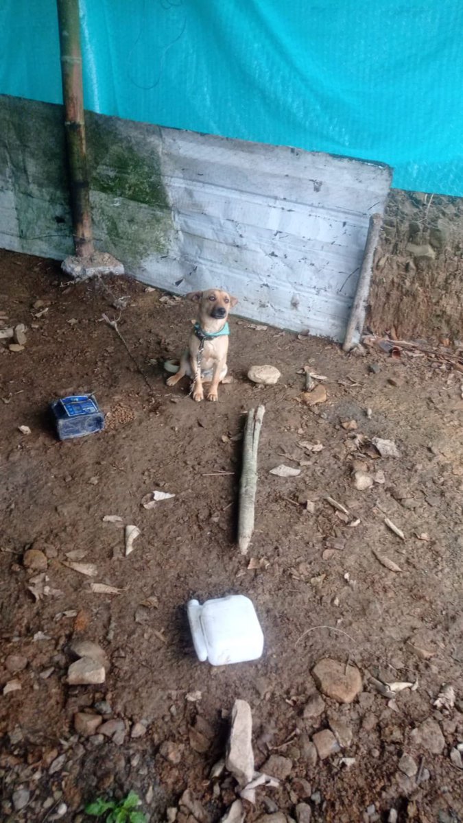 Andrea Barrios tweet media