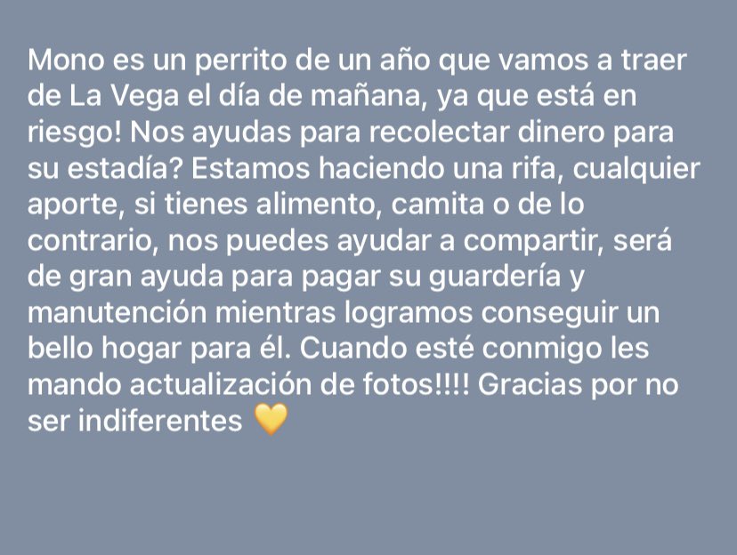 Andrea Barrios tweet media