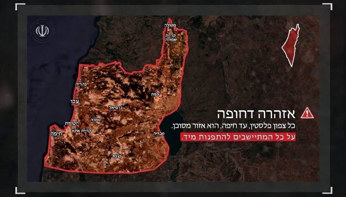 משה موشي جرادي Moshi tweet media