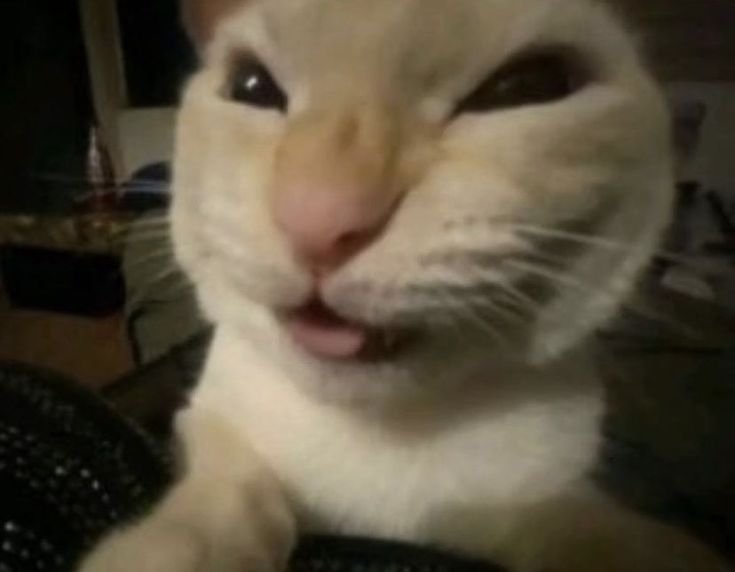 Taekashi tweet media