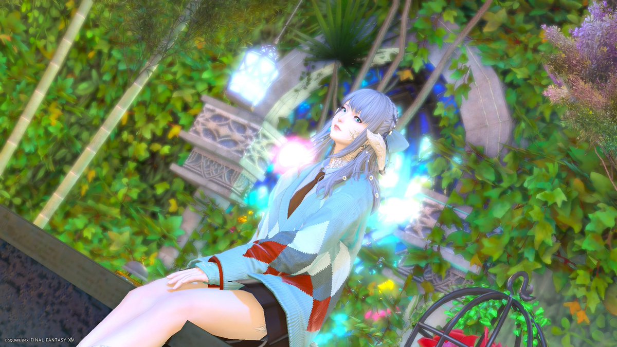 Sophie✧︎ tweet media