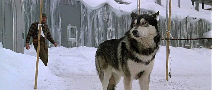 VŠECHNO VŠEM! tweet media