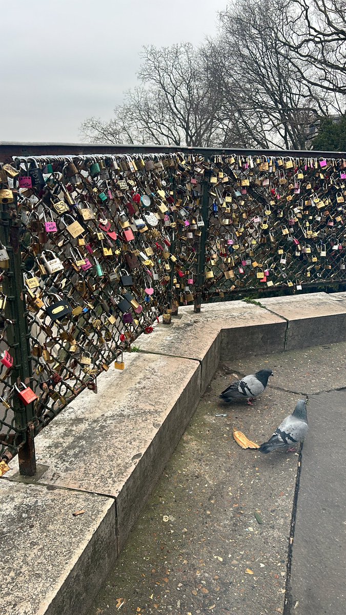 فهد سعيّد .. tweet media