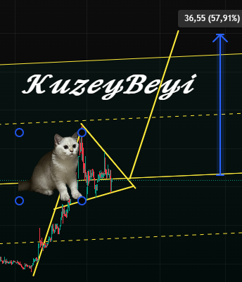 𝑲𝒖𝒛𝒆𝒚𝒃𝒆𝒚𝒊 tweet media