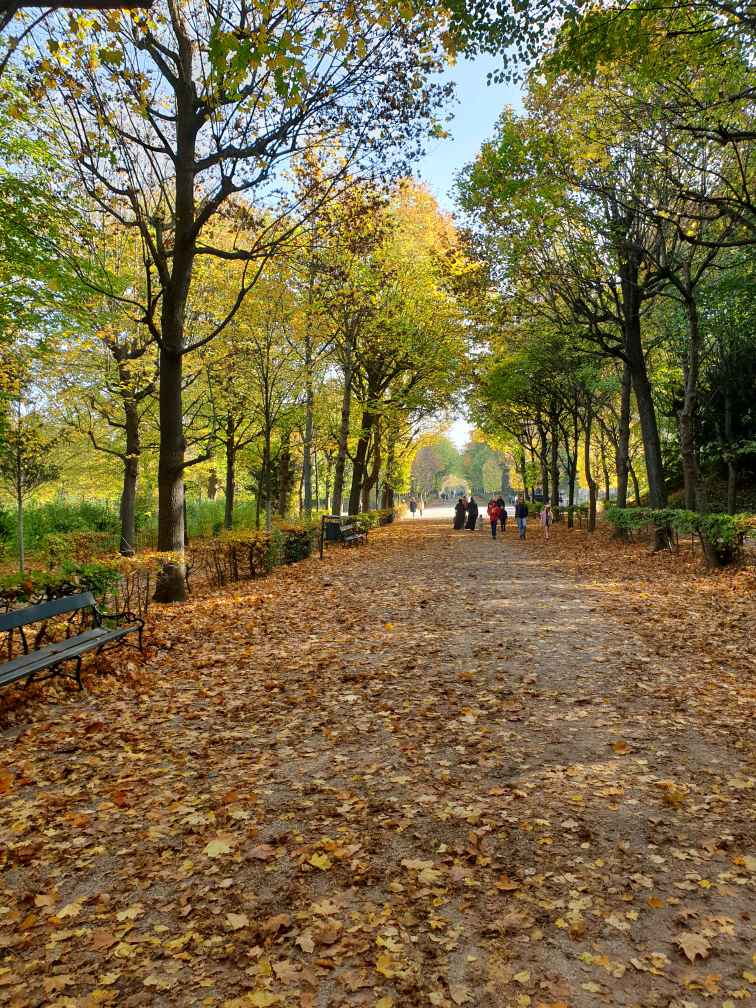 قبسات أدبية - وفاء القاضي tweet media