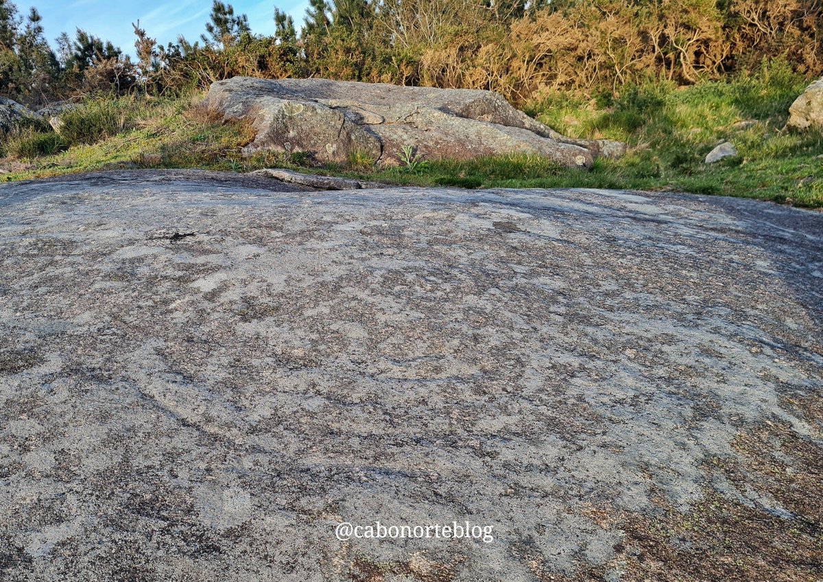 cabonorteblog tweet media