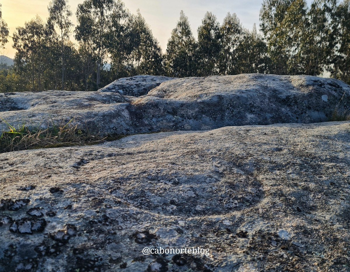 cabonorteblog tweet media