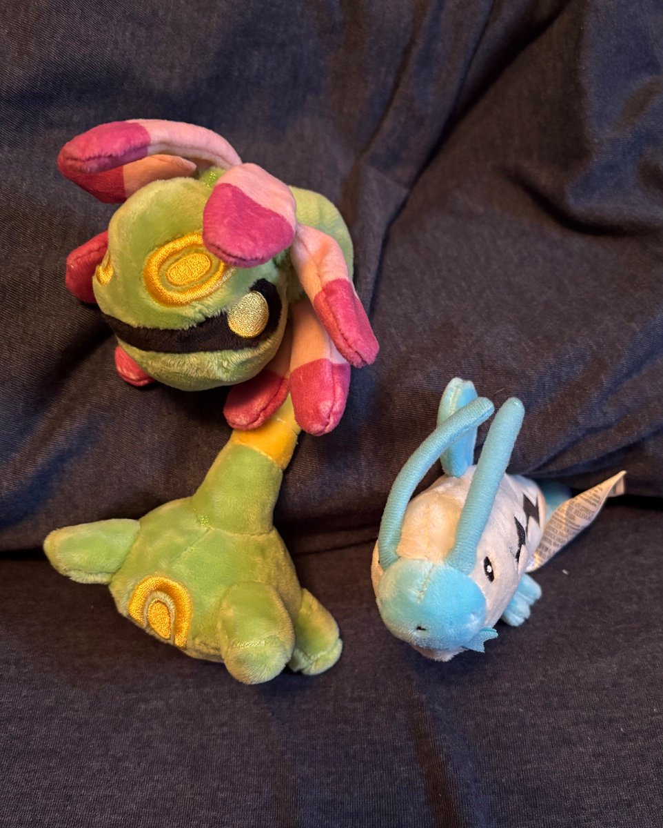 The Cybop Guy #TeamSwag tweet media