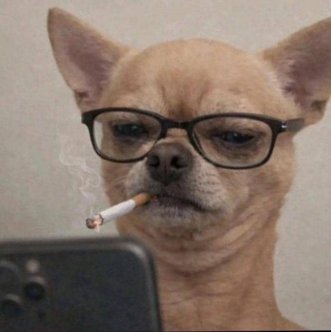 Nicky Lrsn tweet media