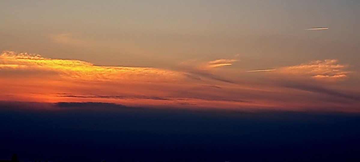 ...la...ziza... tweet media