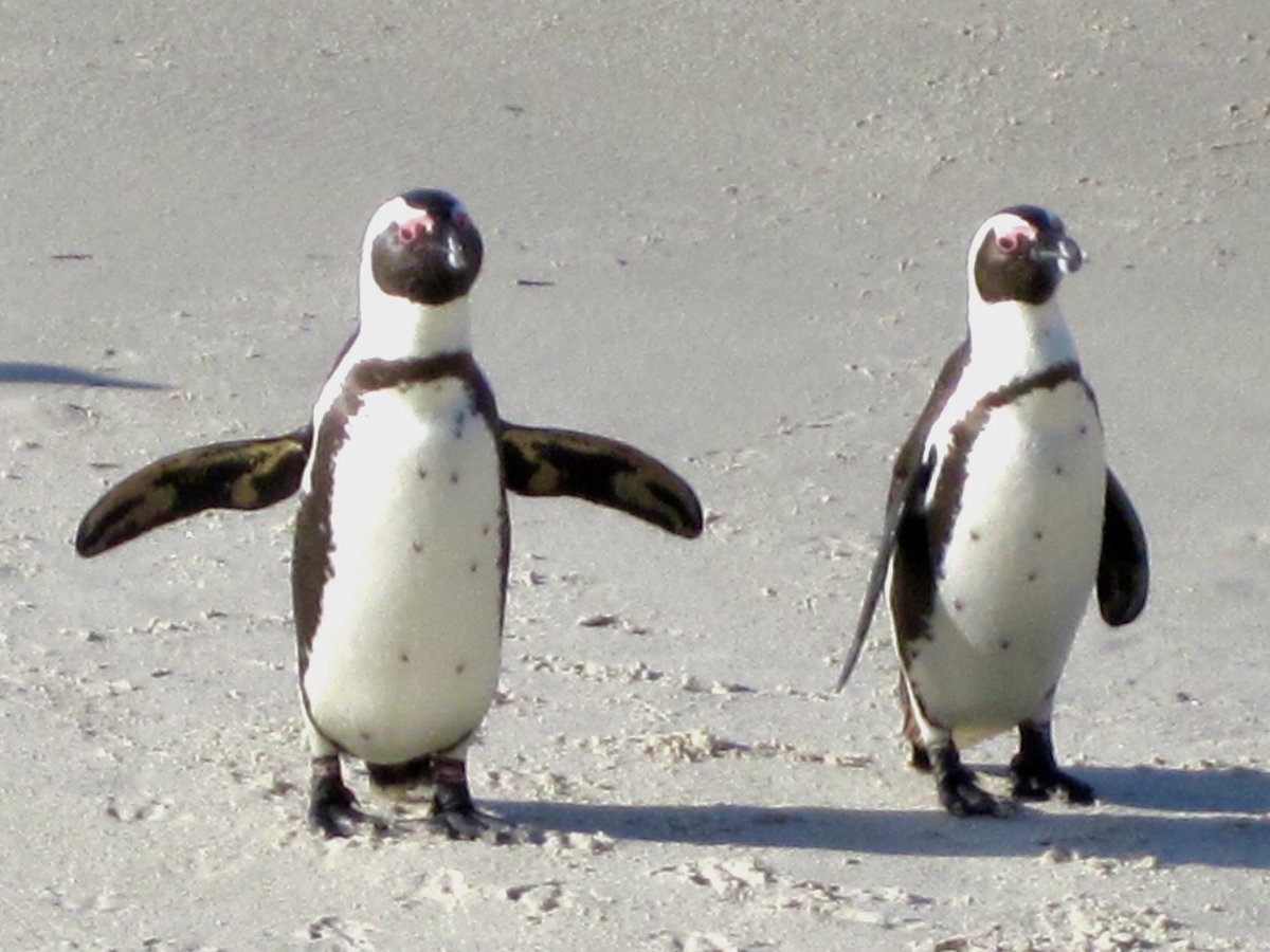 John C. Knapp tweet media