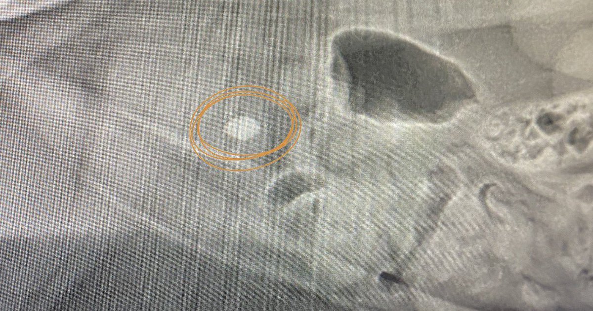 🎃jupiter🔮 tweet media