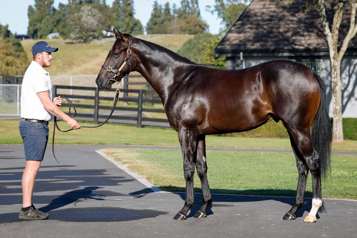 Elsdon Park tweet media