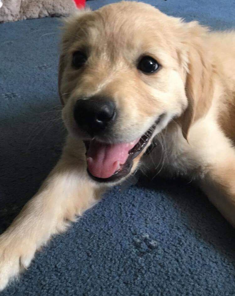 Carly 🌼 tweet media