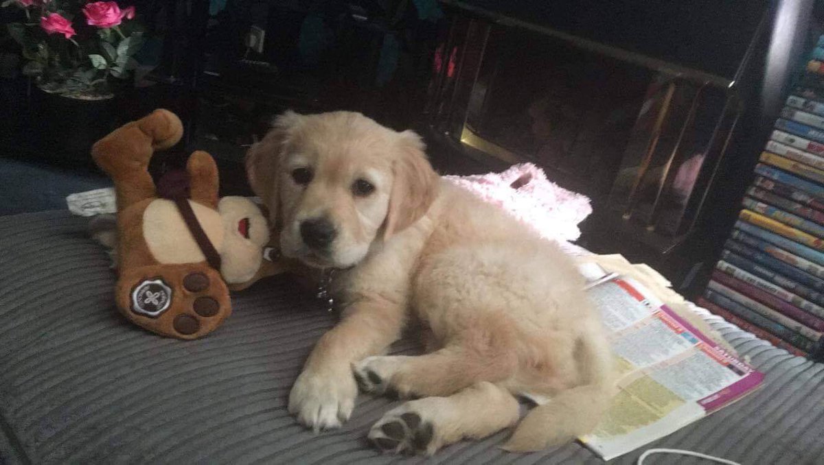 Carly 🌼 tweet media