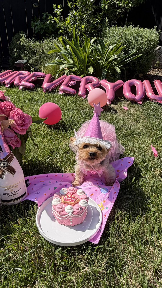 Trish 🌙 tweet media