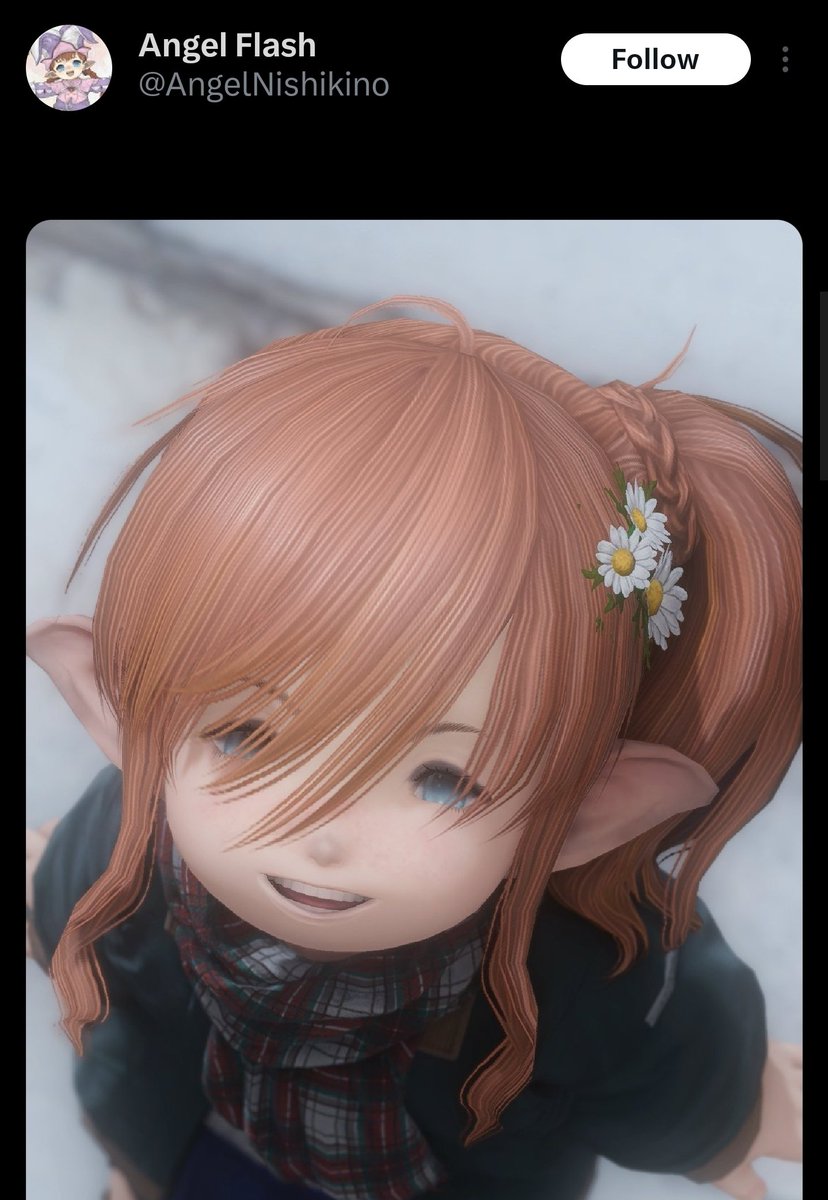 Mithrandir 🇵🇸 tweet media