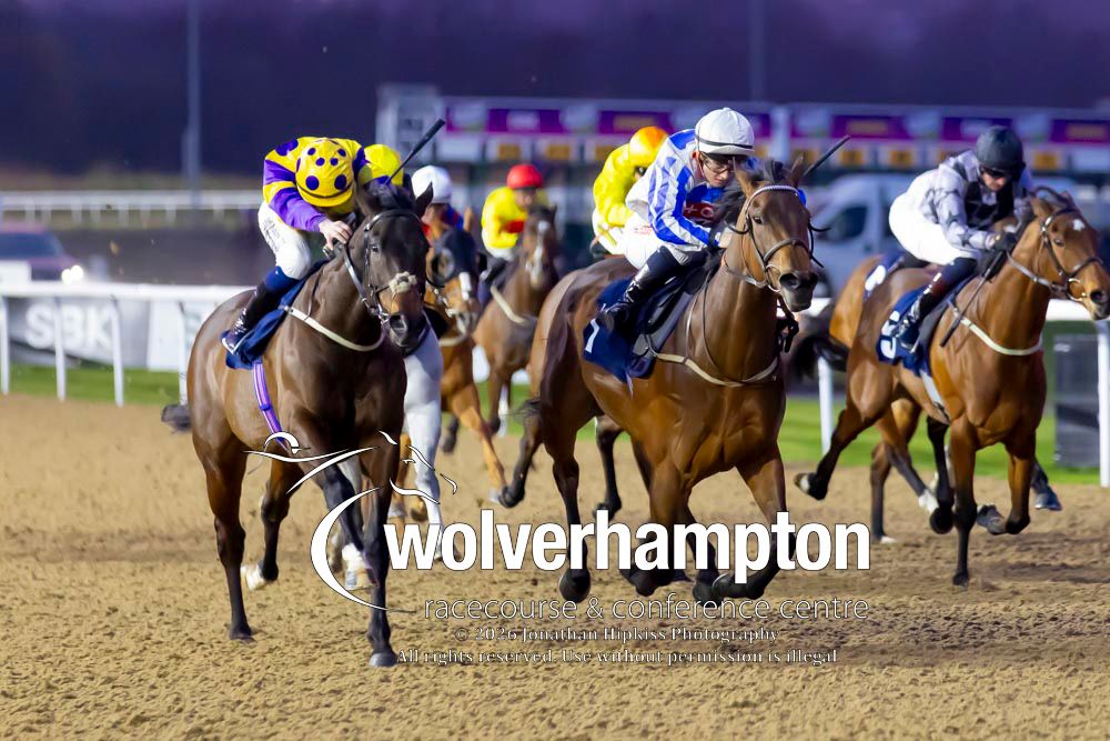 Wolverhampton Races tweet media