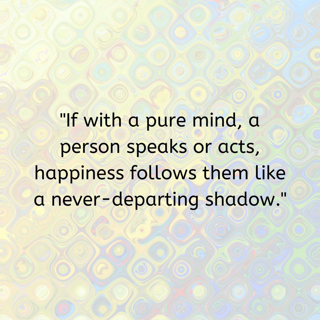 ShangriLa Ranch tweet media