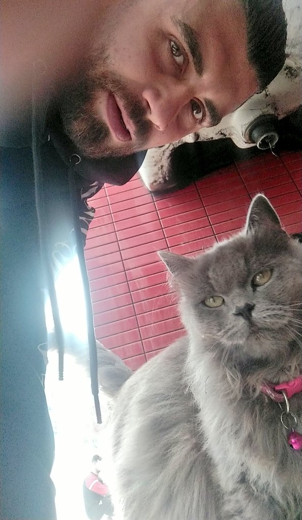 Yousef🇵🇸 tweet media