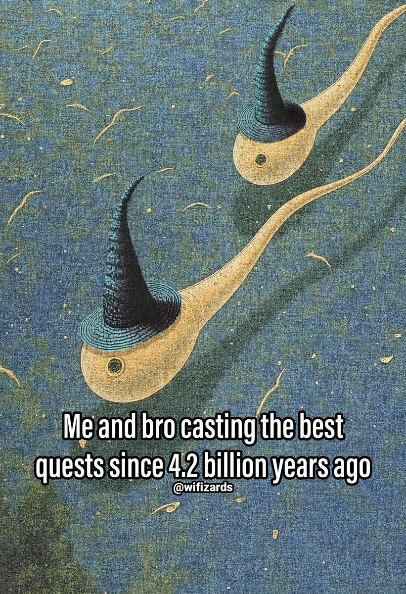 World Wise Wizards tweet media