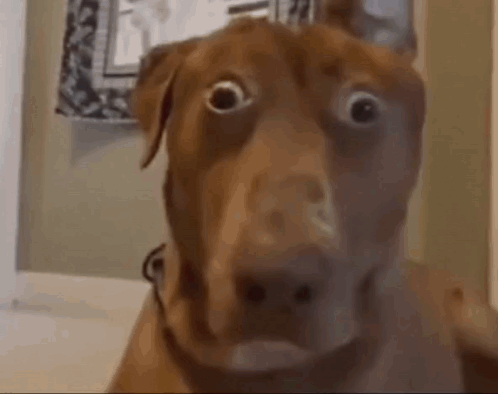 CSGOLuck.com tweet media