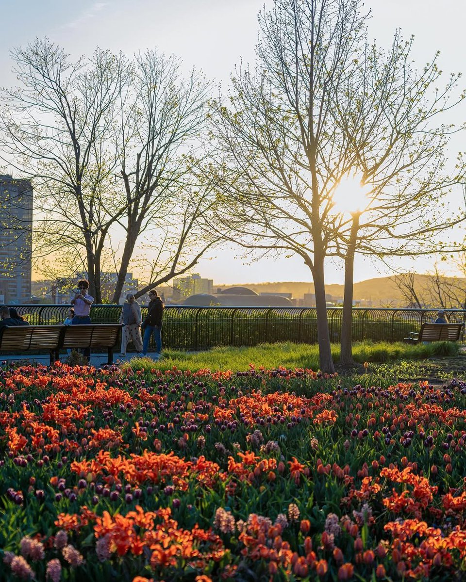 Commission de la capitale nationale tweet media