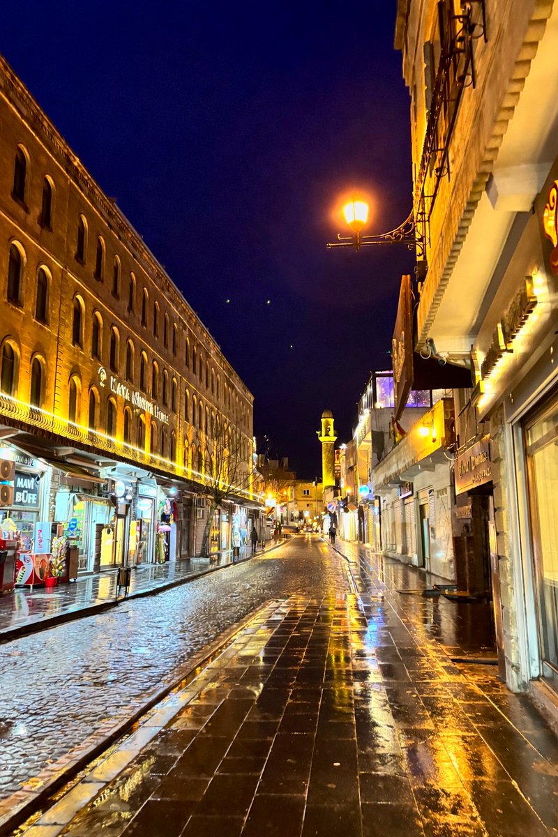 Doktorus tweet media