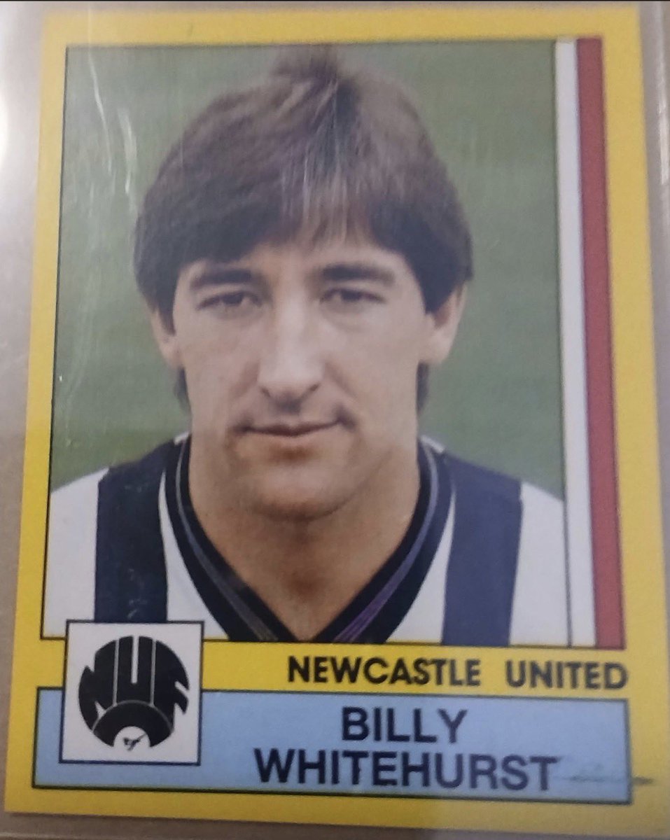 celtic Jaime 🍀 tweet media