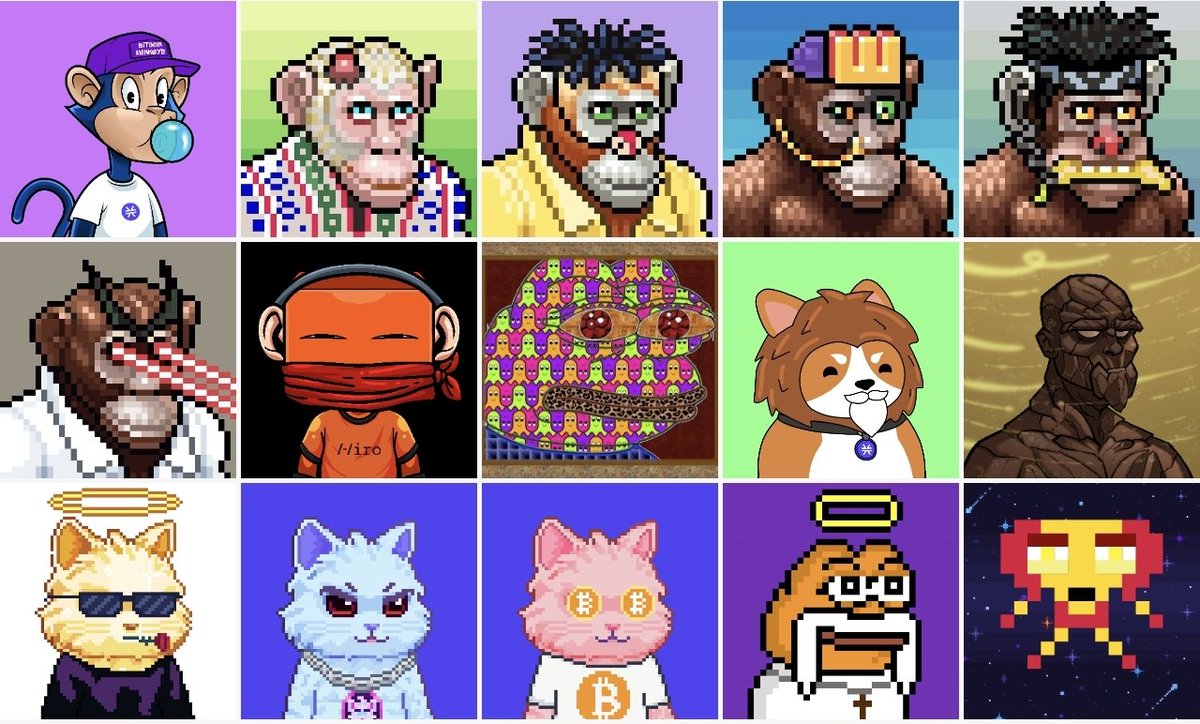 冯伟良 tweet media