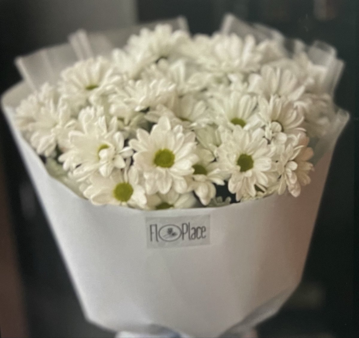 MiniKsMe's tweet photo. Муж 🫶
Без повода ❤️ эта маленькая часть 💐 которую я зафотала https://t.co/cJTO7c7Ox1
