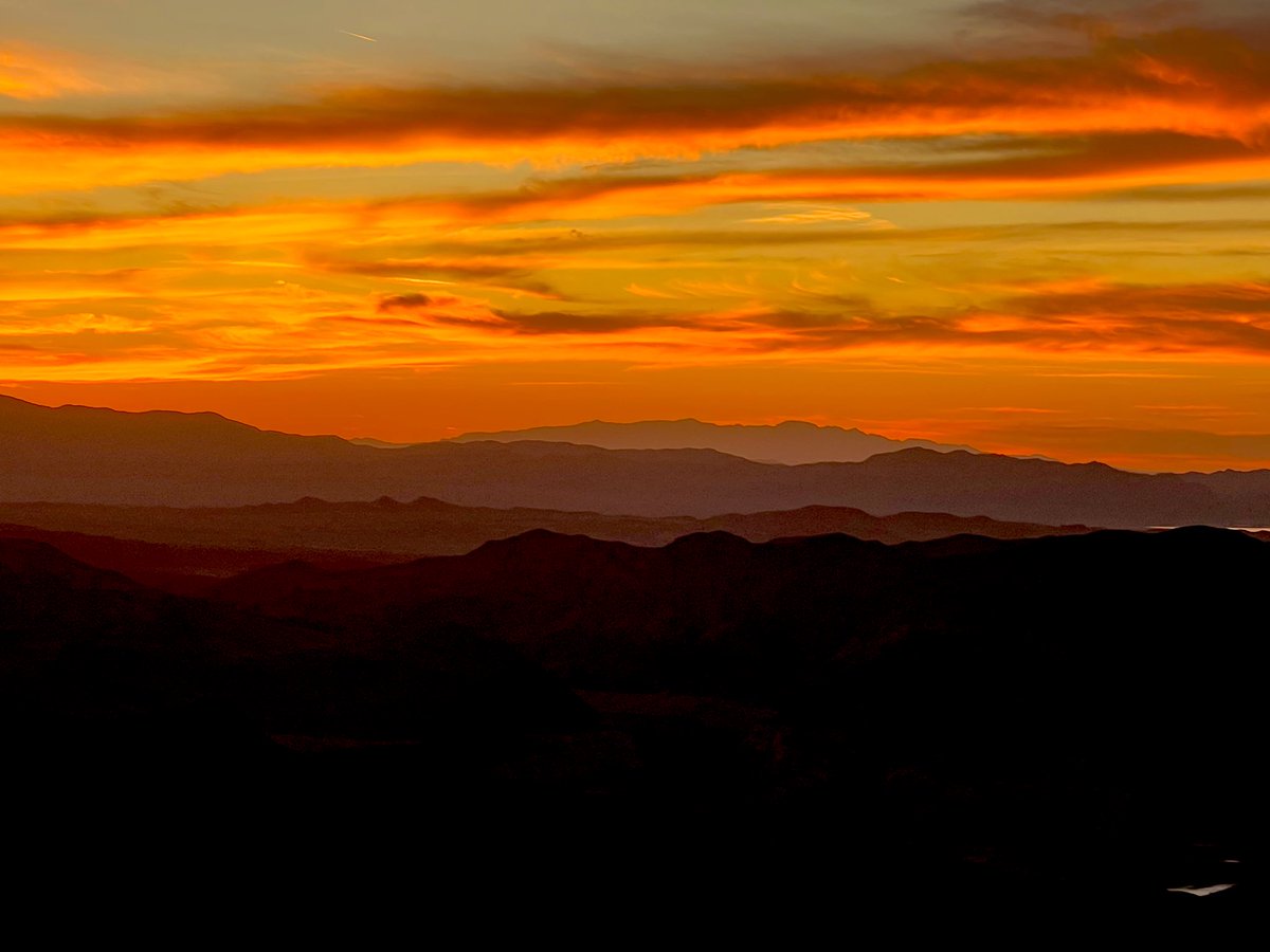 Flawwed1 tweet media