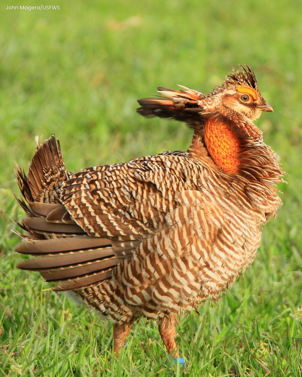 PlayCleanGo: Stop Invasive Species In Your Tracks tweet media