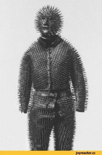 Кіт поета апокаліптичний tweet media