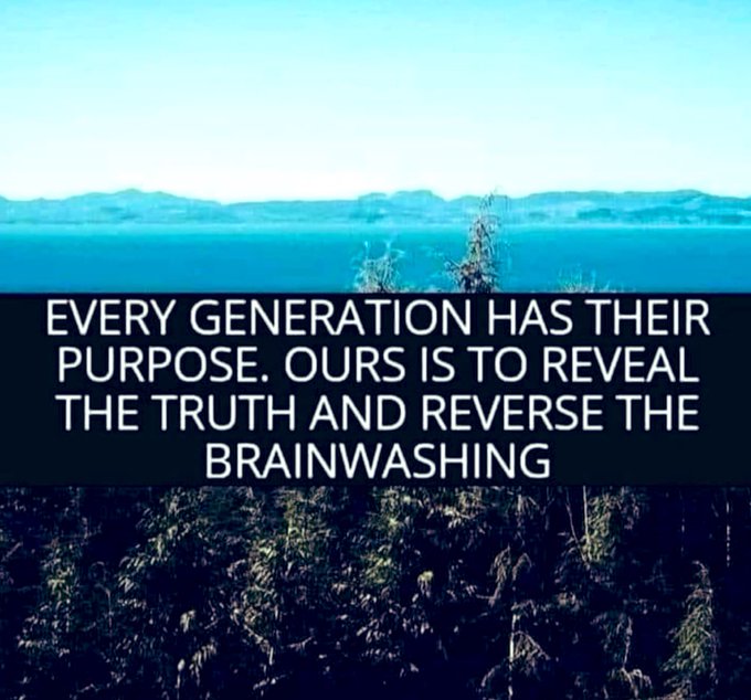 rabbitholebot tweet media