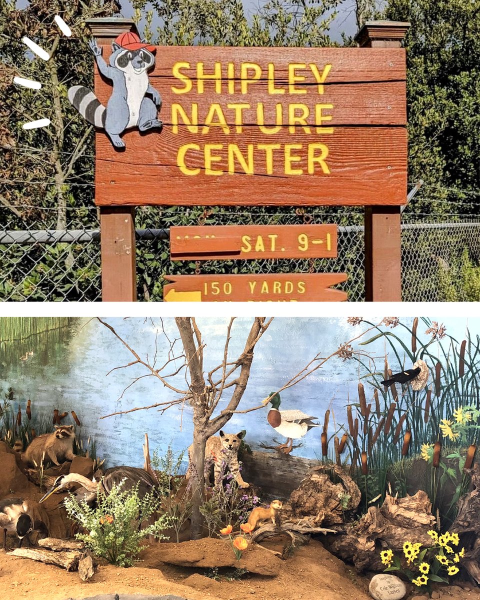 Art Supply Warehouse tweet media