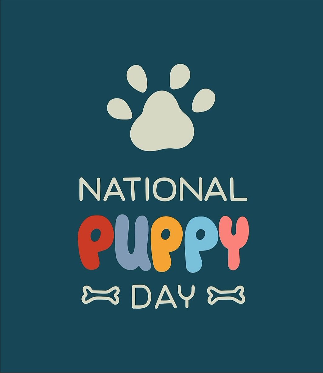 William Kresse tweet media