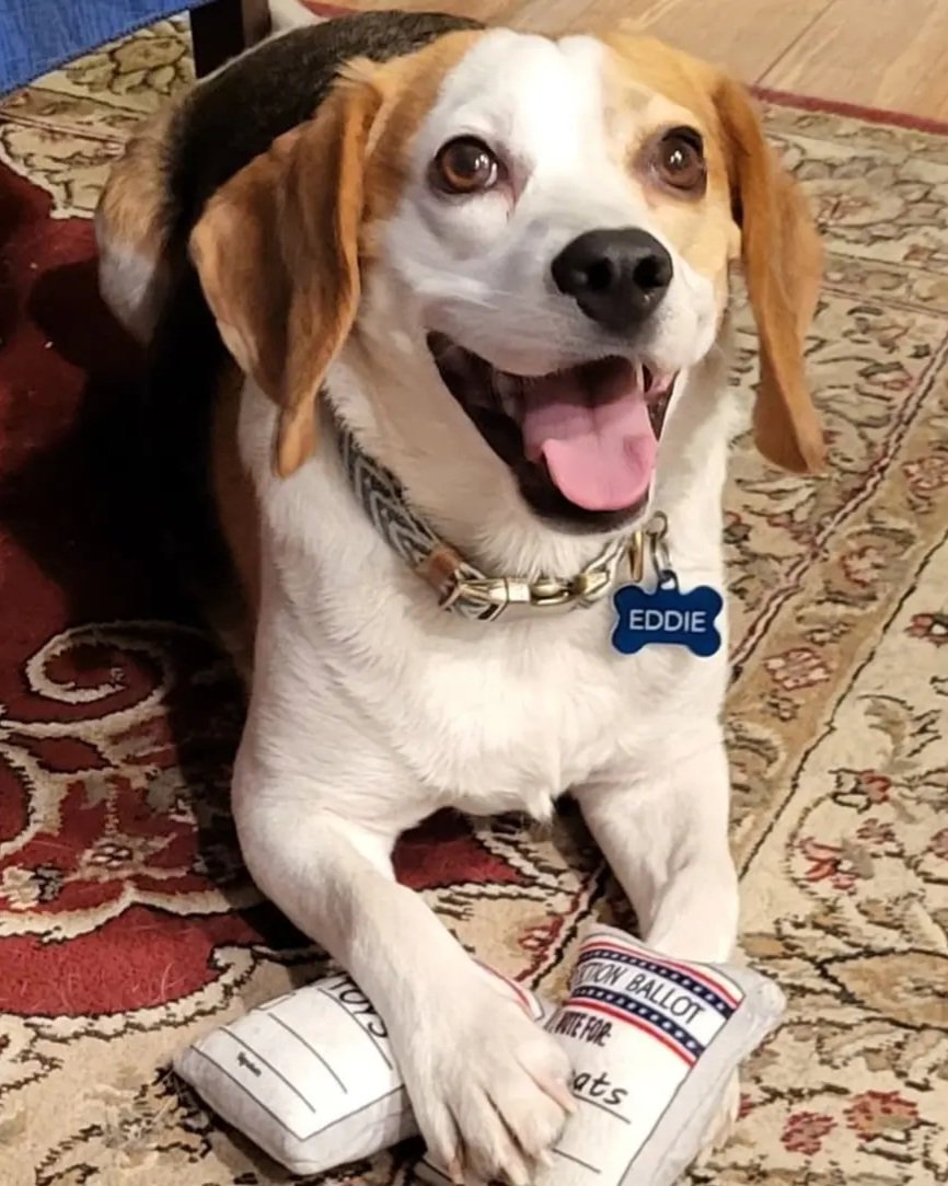 William Kresse tweet media