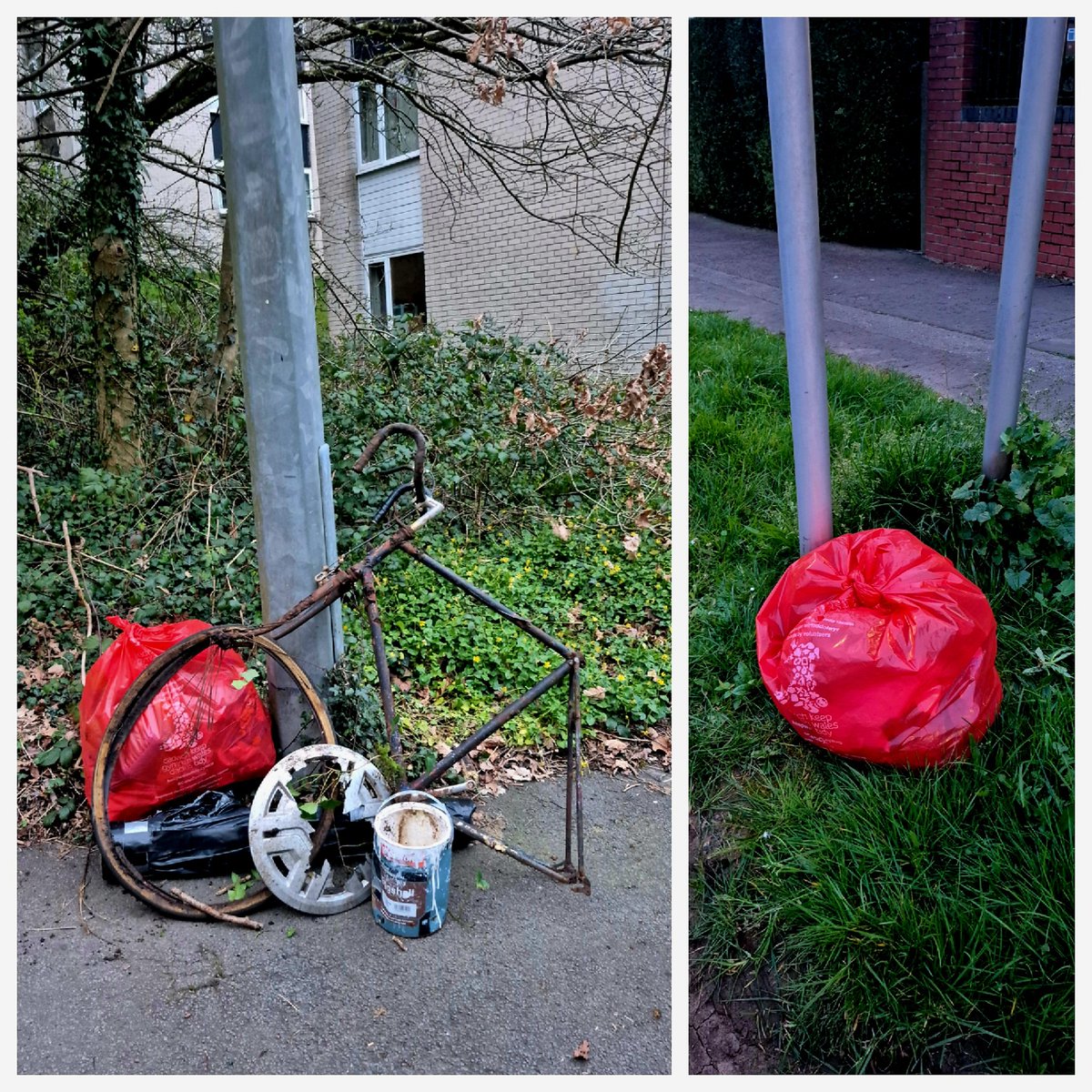 Kittylitterpicker 🏴󠁧󠁢󠁷󠁬󠁳󠁿 tweet media